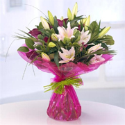 Just Lilies